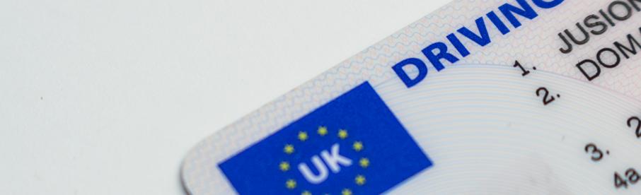 canje licencia o permiso de conducir