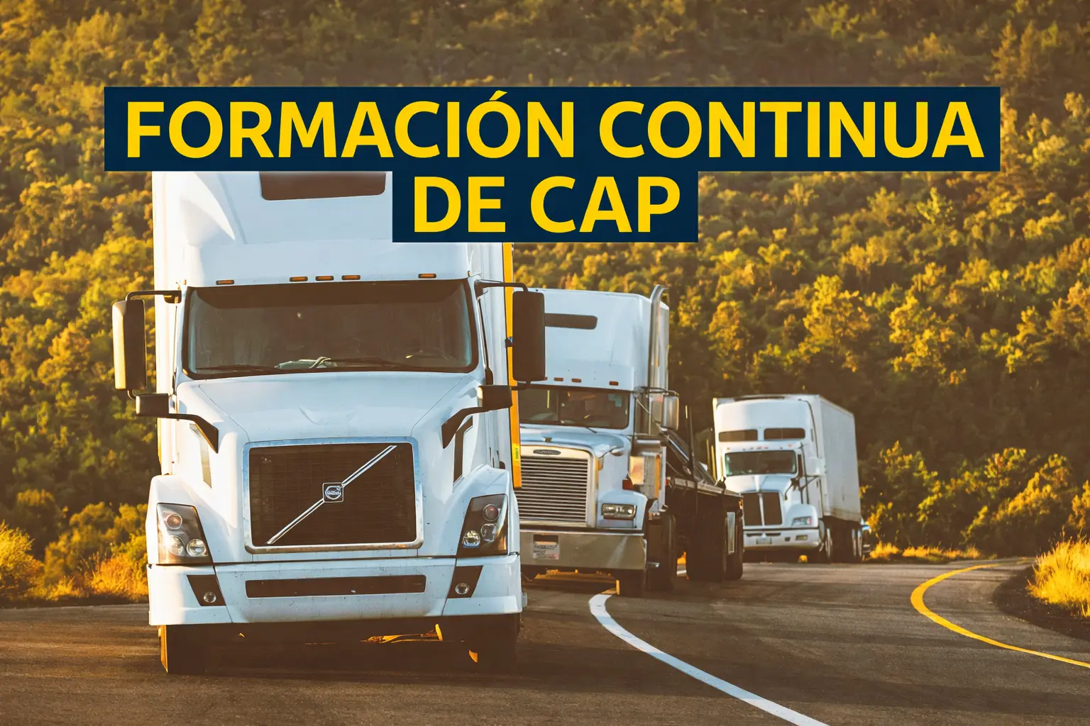 formación cap online y presencial